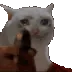 catgun