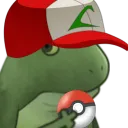 worryGottaCatchemAll