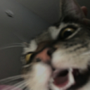 ch_mad Discord emoji