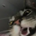 ch_mad