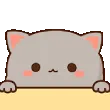 nyaaMeow