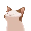 catHeadBang