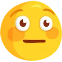 FaceFloosh