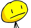 caryokay