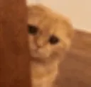 sst