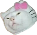 cat2 Discord Emoji