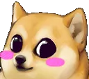 NEK_Shiba