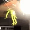 kermitted