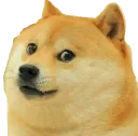dogeuni Discord Emoji