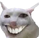 cat_lol Discord Emoji