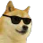 :cooldoge: cooldoge
