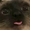 Kittymlem Discord Emoji