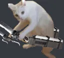 SASAGEYO