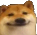 daisy_prokatili