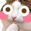 Ema
