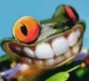 Happy Frog Discord Emoji