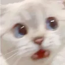 fear