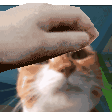 metazolidswojecat Discord emoji