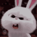 BunnyUhh Discord emoji