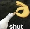y_shut