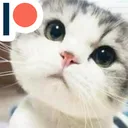 neo