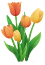 F_Tulips