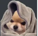 doggu
