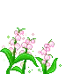 PinkFlowers PinkFlowers