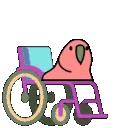 WheelchairParrot
