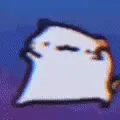 kittydance