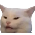 angr_cat Discord Emoji