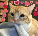 catcri