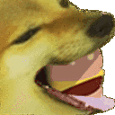 burgerdoge