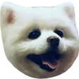 chenzhHappy
