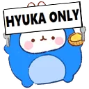 hk_only hk_only