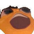 NTC_beehaha