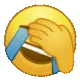 nongayroundemoji