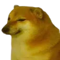 gc_doge_meme gc_doge_meme