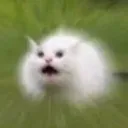 Cat Screaming catScreaming Discord Emoji