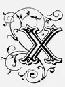 X_ X_