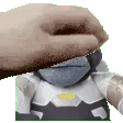 PetMonke