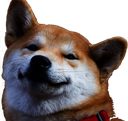 :doge: