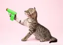kittenshootemo Discord Emoji