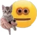 kittenstoneemo Discord Emoji