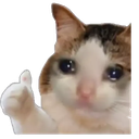 UG_CatThumbsUp Discord emoji