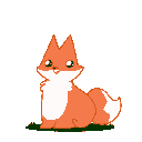 skyfox_sit