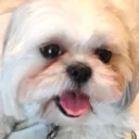 bellahappy2 Discord Emoji