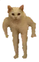 catstand