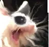 Sendhelp