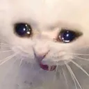 Cry2 cry2 Discord Emoji